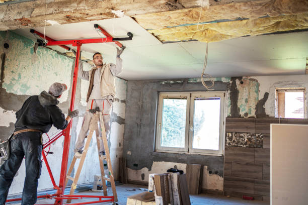 Best Insulation Maintenance and Repair in Folsom, PA